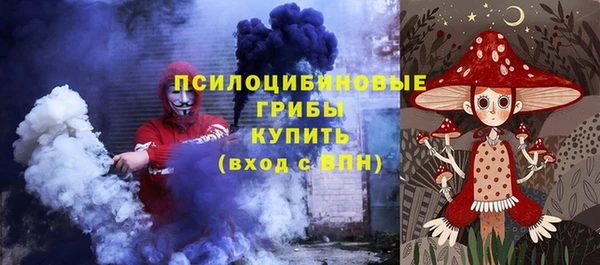 гидра Арсеньев