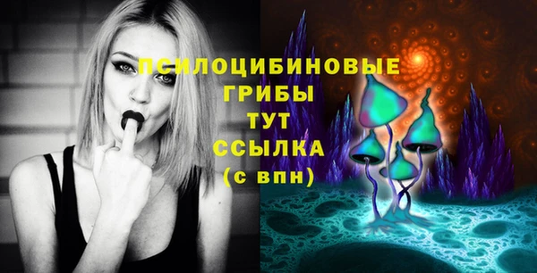 твердый Балахна