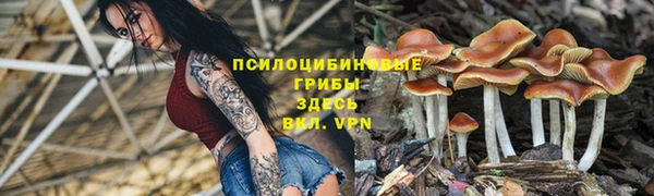 прущий лед Балабаново