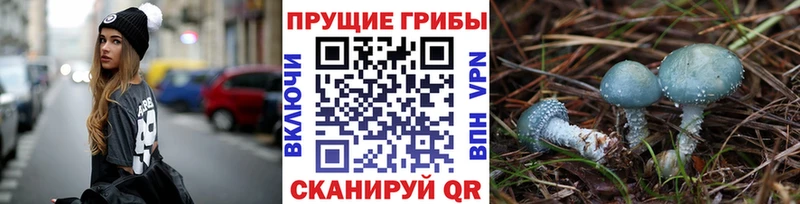 Галлюциногенные грибы GOLDEN TEACHER Нижняя Салда